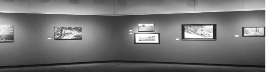 Leeper's gallery exhibit was featured in Ohio Northern University's Elzay Gallery of Art in March. The exhibit featured many forms of paint. (Northern Review photo/Kasy Long)